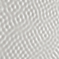 アルヴァ・ノト「 Ｆｏｒ　１　＋　２」