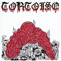 トータス「 ホワイ・ウェイスト・タイム？」