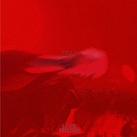 フリクション「 ２０１３－ライヴ・フリクション」