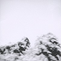 Ｐａｙ　ｍｏｎｅｙ　Ｔｏ　ｍｙ　Ｐａｉｎ 「Ｐｉｃｔｕｒｅｓ」