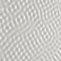 アルヴァ・ノト「Ｆｏｒ　１　＋　２」