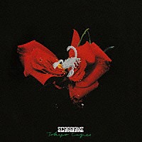 スコーピオンズ「 蠍団爆発！！～スコーピオンズ・ライヴ」