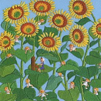 沢知恵「 ライブ・アット・ラカーニャ　夏」