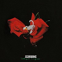 スコーピオンズ 「蠍団爆発！！～スコーピオンズ・ライヴ」