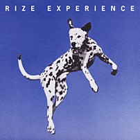 ＲＩＺＥ 「ＥＸＰＥＲＩＥＮＣＥ」