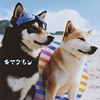 キマグレン 「ＡＬＩＶＥ」