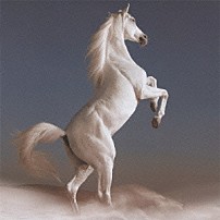 髭 「サンシャイン」