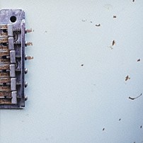 フジファブリック 「ＭＵＳＩＣ」