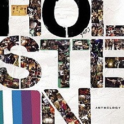 ＨＯＬＳＴＥＩＮ「ＨＯＬＳＴＥＩＮ　ＡＮＴＨＯＬＯＧＹ」