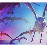 石野卓球「 ＣＲＵＩＳＥ」