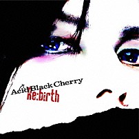 Ａｃｉｄ　Ｂｌａｃｋ　Ｃｈｅｒｒｙ 「Ｒｅ：ｂｉｒｔｈ」