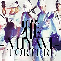 雅－ＭＩＹＡＶＩ－ 「ＴＯＲＴＵＲＥ」
