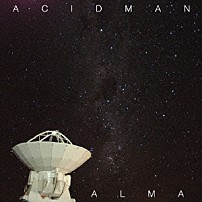 ＡＣＩＤＭＡＮ 「ＡＬＭＡ」