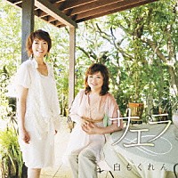 サエラ「 白もくれん」