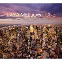 （Ｖ．Ａ．）「 ＩＮ　ＹＡ　ＭＥＬＬＯＷ　ＴＯＮＥ　５」