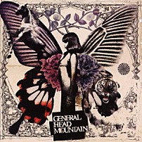 ジェネラルヘッドマウンテン 「バタフライエフェクト」