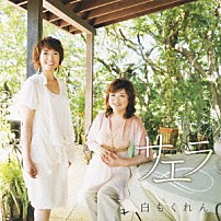 サエラ 「白もくれん」