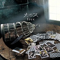 カラス 「ｆｒｅｅ」