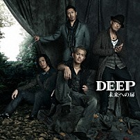 ＤＥＥＰ 「未来への扉」