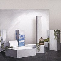 椿屋四重奏 「マテリアル」