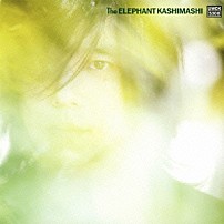 エレファントカシマシ 「いつか見た夢を／彼女は買い物の帰り道」