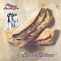 ザ・フライング・ブリトウ・ブラザーズ「 ブリトウ・デラックス　＋２」