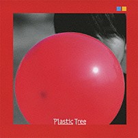 プラスティック　トゥリー 「みらいいろ」