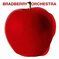ＢＲＡＤＢＥＲＲＹ　ＯＲＣＨＥＳＴＲＡ「 Ｖｏｌ．０」