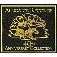 （Ｖ．Ａ．）「 アリゲーター・レコード　栄光の４０周年コレクション」