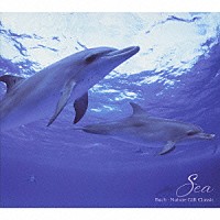（クラシック）「 自然が贈るクラシック　海　バッハＢＥＳＴ」