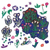 今井美樹 「ＰＲＥＭＩＵＭ　ＢＥＳＴ　ＭＩＫＩ’ｓ　ＡＦＦＥＣＴＩＯＮＳ　［ＡＮＴＨＯＬＯＧＹ　１９８６－２０１１］」