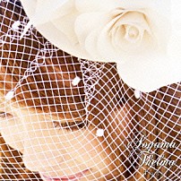 青山テルマ 「ずっと。」