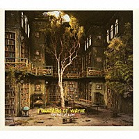 ファウンテインズ・オブ・ウェイン「 スカイ・フル・オブ・ホールズ」