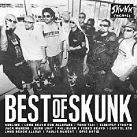 （Ｖ．Ａ．）「 ベスト・オブ・スカンク」