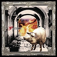 ｖｉｓｔｌｉｐ「 ＰＡＴＲＩＯＴ」