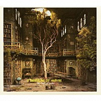 ファウンテインズ・オブ・ウェイン 「スカイ・フル・オブ・ホールズ」