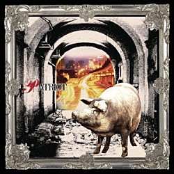 ｖｉｓｔｌｉｐ「ＰＡＴＲＩＯＴ」