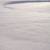 Ｌａｉｋａ　Ｃａｍｅ　Ｂａｃｋ「 Ｌａｎｄｅｄ」