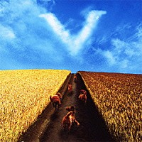 安全地帯「 結界／田園」