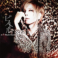 Ａｃｉｄ　Ｂｌａｃｋ　Ｃｈｅｒｒｙ「 ピストル」