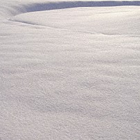 Ｌａｉｋａ　Ｃａｍｅ　Ｂａｃｋ 「Ｌａｎｄｅｄ」