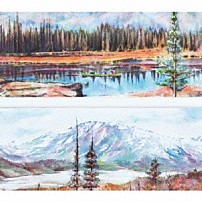 アナログフィッシュ 「荒野／Ｏｎ　ｔｈｅ　Ｗｉｌｄ　Ｓｉｄｅ」