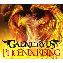 ＧＡＬＮＥＲＹＵＳ 「ＰＨＯＥＮＩＸ　ＲＩＳＩＮＧ」