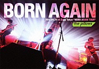 ｔｈｅ　ｐｉｌｌｏｗｓ 「ＢＯＲＮ　ＡＧＡＩＮ　２０１１．０４．２４　ａｔ　Ｚｅｐｐ　Ｔｏｋｙｏ“ＨＯＲＮ　ＡＧＡＩＮ　ＴＯＵＲ”」