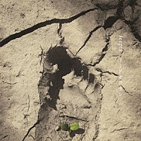 Ｊｅｅｐｔａ「 リードオフマン」