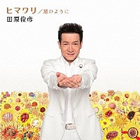 田原俊彦「 ヒマワリ／星のように」