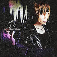 Ａｃｉｄ　Ｂｌａｃｋ　Ｃｈｅｒｒｙ「 蝶」