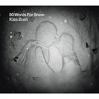 ケイト・ブッシュ 「雪のための５０の言葉」