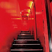 ＷＨＩＴＥ　ＡＳＨ 「Ｐａｒａｎｏｉａ」