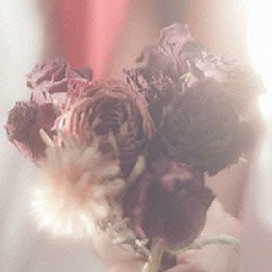 ＨＡＲＶＡＲＤ「ＨＡＨＶＡＨＤ」